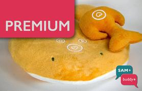 Subscribtion CARE (premium)